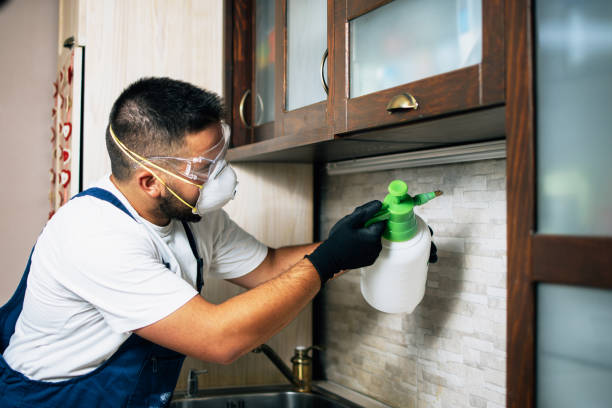 Best Mosquito Control Services  in Mcmurray, PA