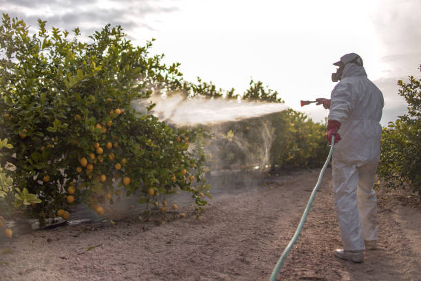 Insect Control in Mcmurray, PA